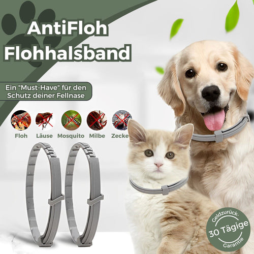 AntiFloh - Die Schutzwand gegen infektiöse Insekten GoFlix Hunde | 70cm 